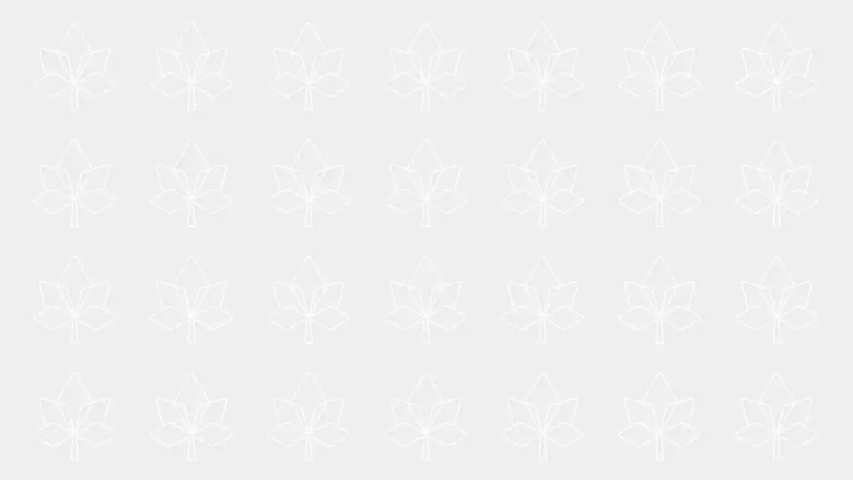 OpenAI's New Jobs Platform Aims to Boost Economic Opportunity in Tech and Adult Industries